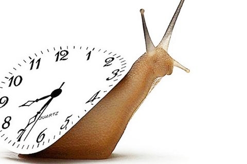 th_Snail-with-clock-on-its-back