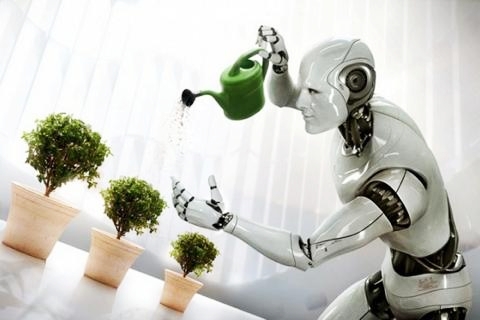 th_human-vs-robot-11